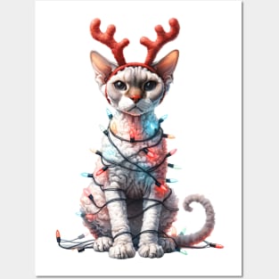 Christmas Red Nose Devon Rex Cat Posters and Art